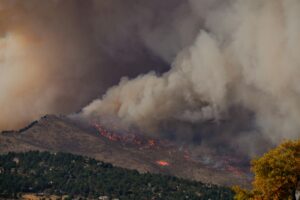 Safeguarding Your Home Against Wildfires