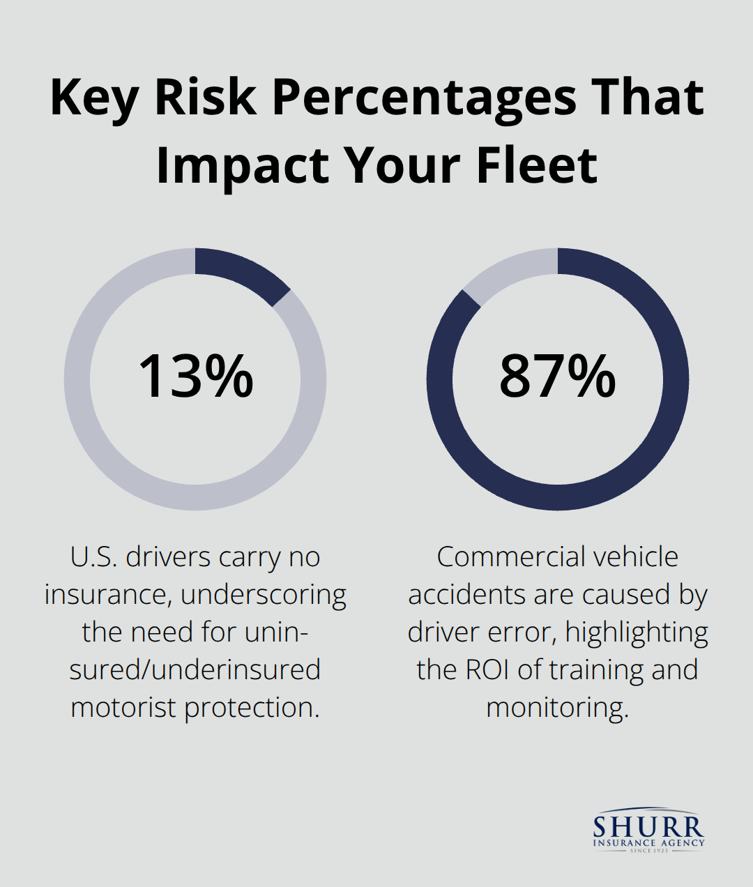 Infographic showing key percentages that affect corporate vehicle insurance decisions